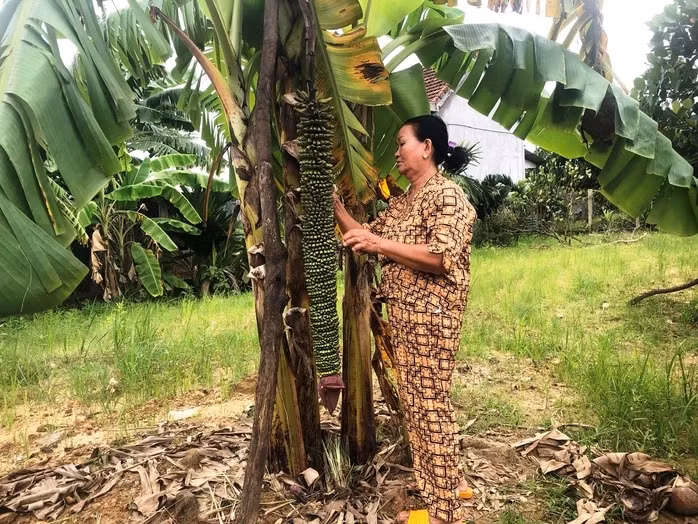 Nhung buong chuoi “quai di” den kho tuong tuong cua nong dan Viet-Hinh-2