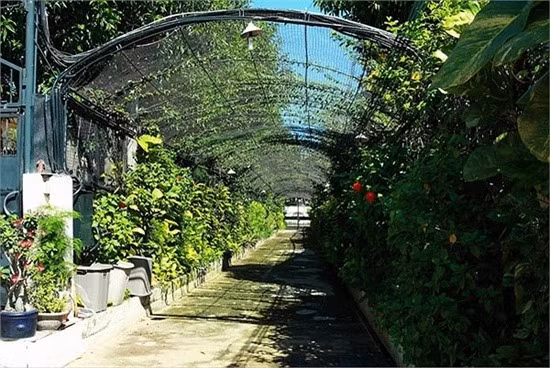 Biet thu trieu do xa hoa cua “Nu hoang anh lich” Diem My 6X-Hinh-6