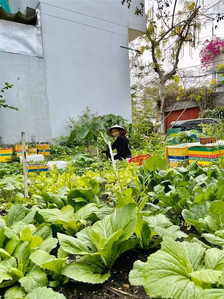 Can canh biet thu 20 ty cua bo me Ho Ngoc Ha-Hinh-7