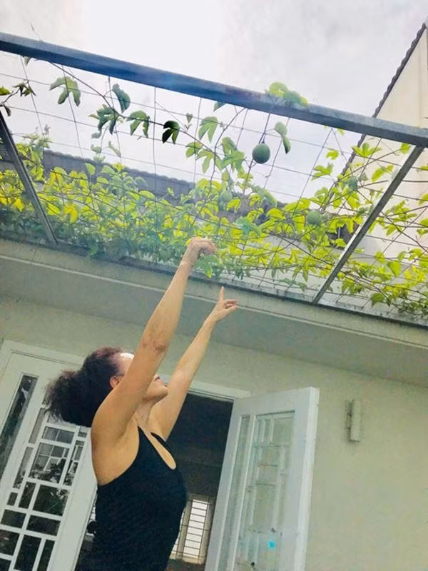 Can canh biet thu 20 ty cua bo me Ho Ngoc Ha-Hinh-9