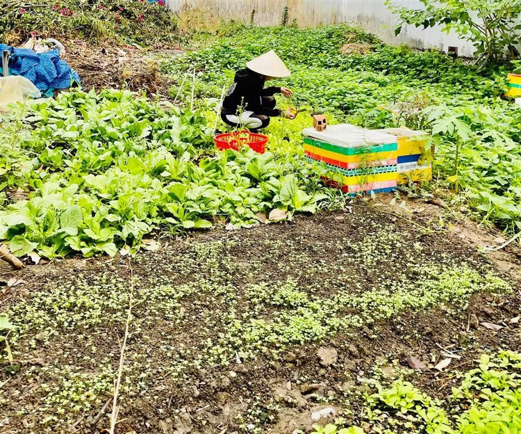 Can canh biet thu 20 ty cua bo me Ho Ngoc Ha-Hinh-8