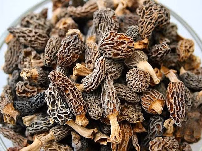 Nam moc hoang “quy nhu vang”, 15 trieu dong/kg co gi dac biet?-Hinh-3