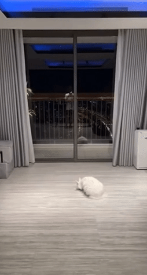 Co gi trong can ho view bac ty cua MC Tran Thanh?-Hinh-4