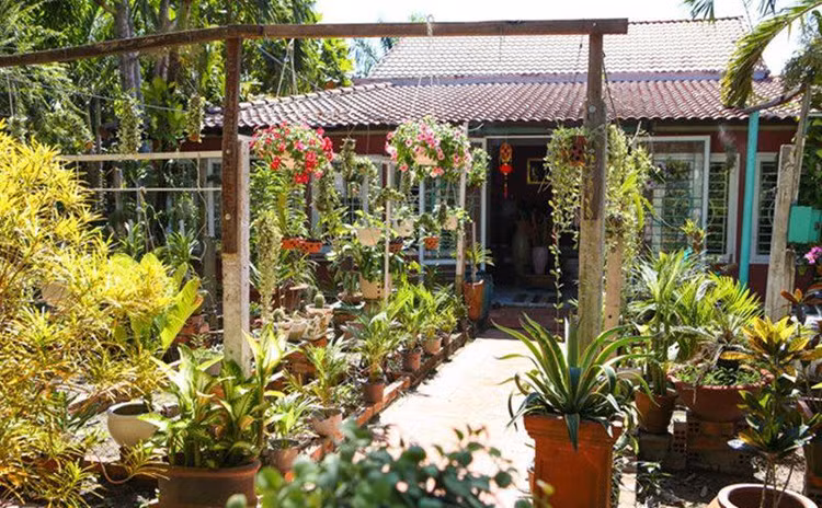 Nha vuon bat ngan 3.000m2 cua ca si Phi Hung-Hinh-5