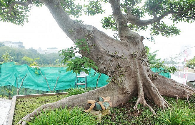 Can canh sung dang “la” 10 ty cua dai gia Ha thanh-Hinh-4