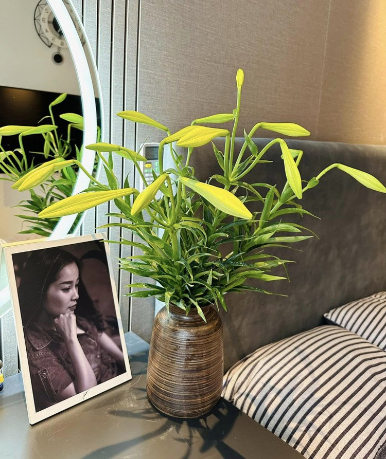 Can canh can ho dep nhu mo cua nu chinh “Nhat ky Vang Anh”-Hinh-8