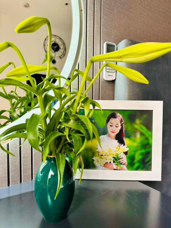 Can canh can ho dep nhu mo cua nu chinh “Nhat ky Vang Anh”-Hinh-3