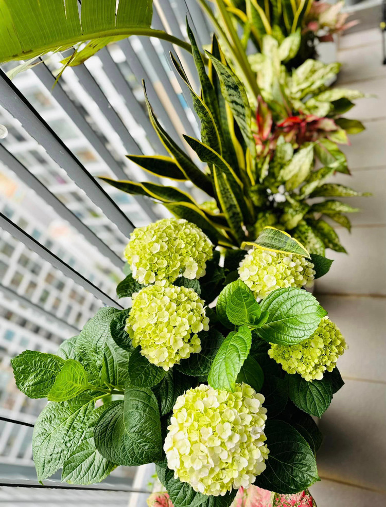 Can canh can ho dep nhu mo cua nu chinh “Nhat ky Vang Anh”-Hinh-7