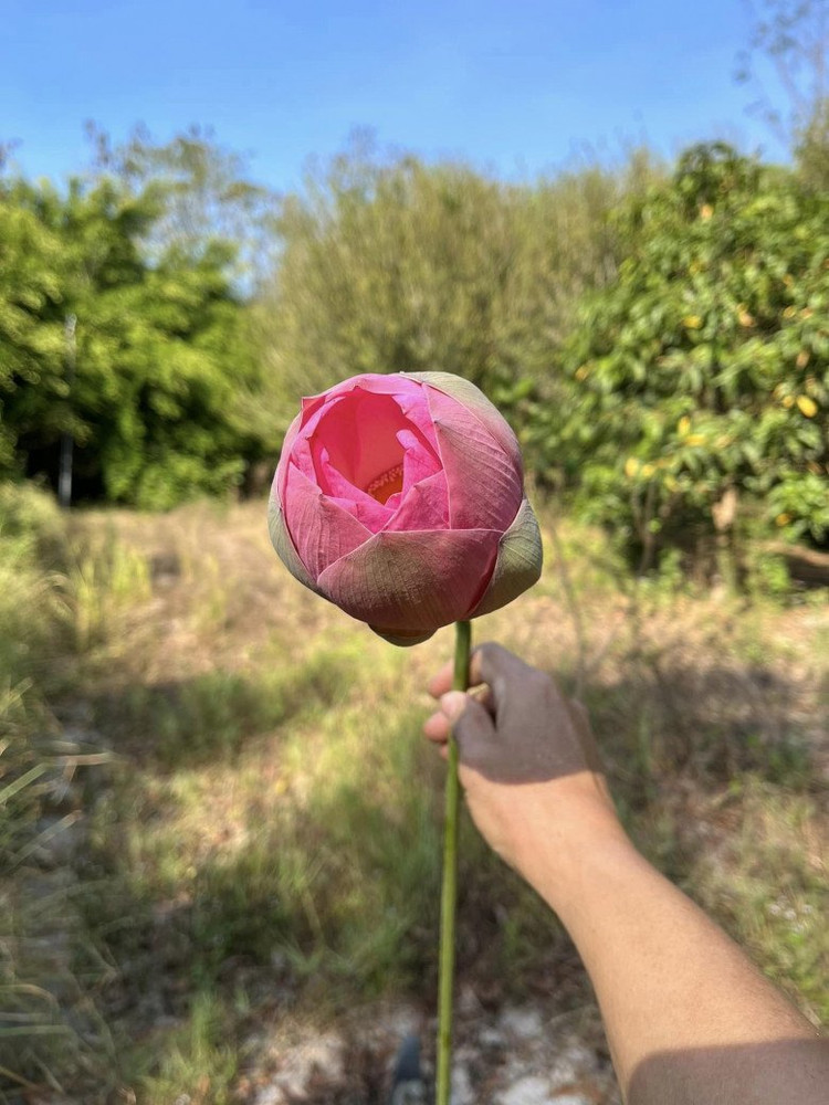 Ben trong trang trai dep nhu tranh ve cua BTV Thu Uyen-Hinh-6