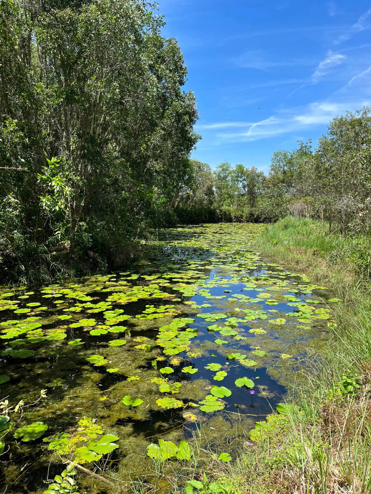 Ben trong trang trai dep nhu tranh ve cua BTV Thu Uyen-Hinh-3