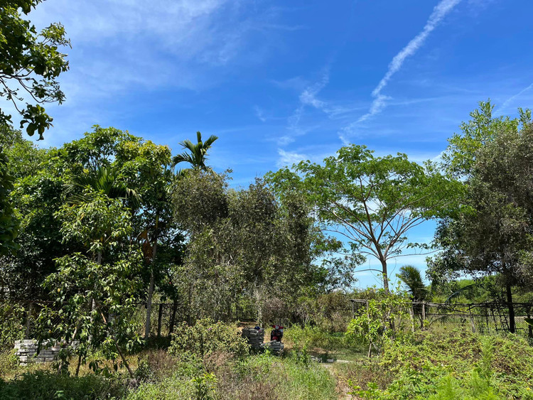 Ben trong trang trai dep nhu tranh ve cua BTV Thu Uyen-Hinh-4