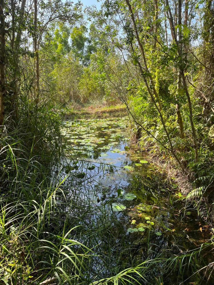 Ben trong trang trai dep nhu tranh ve cua BTV Thu Uyen-Hinh-14
