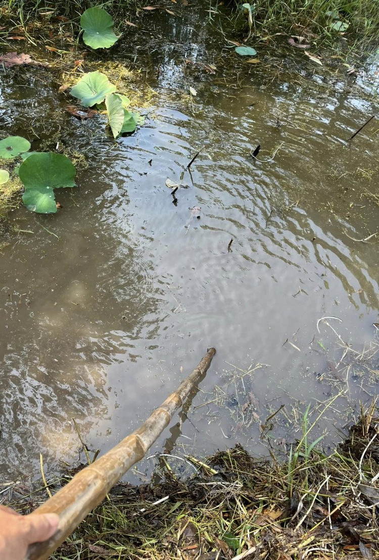 Ben trong trang trai dep nhu tranh ve cua BTV Thu Uyen-Hinh-5