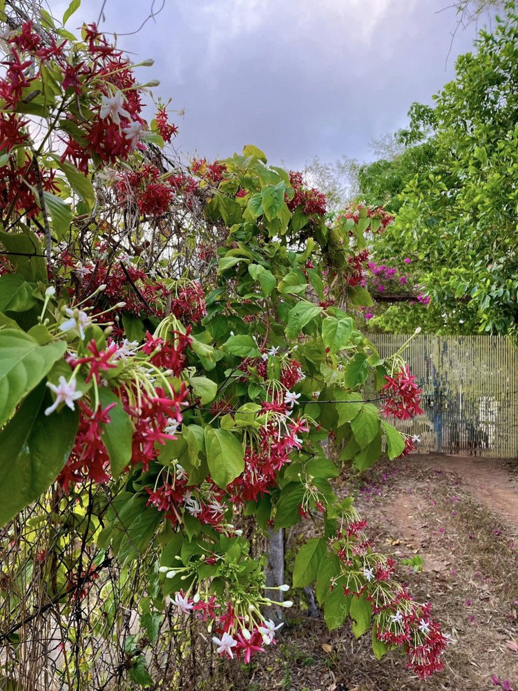 Ben trong trang trai dep nhu tranh ve cua BTV Thu Uyen-Hinh-8