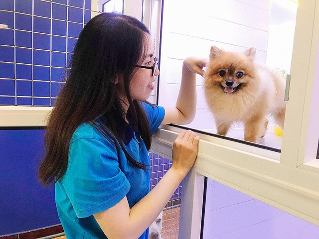 Nhung cong viec lam xuyen Tet nhung “hot bac”-Hinh-3