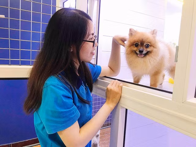 Nhung cong viec lam xuyen Tet nhung “hot bac”-Hinh-3