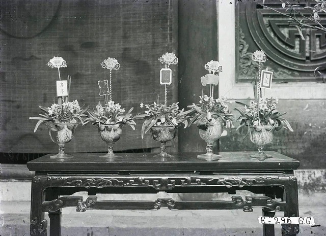 Dai gia Ha Noi xua don Tet co gi dac biet?-Hinh-9