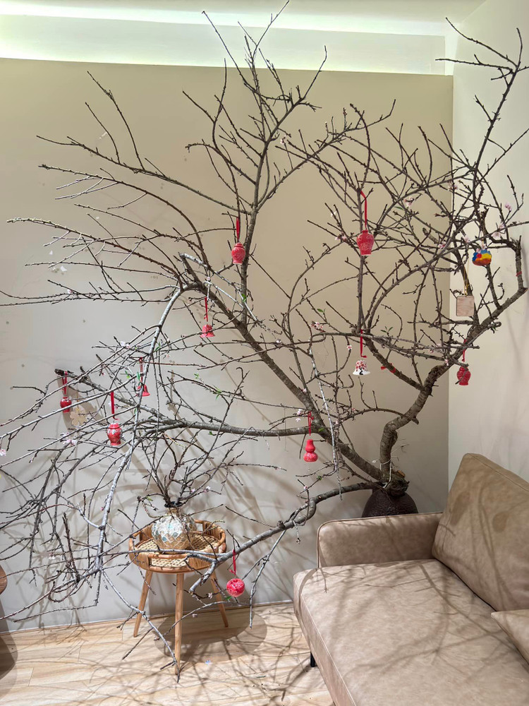 Ben trong can ho cao cap cua Hoa hau Nguyen Cao Ky Duyen-Hinh-6