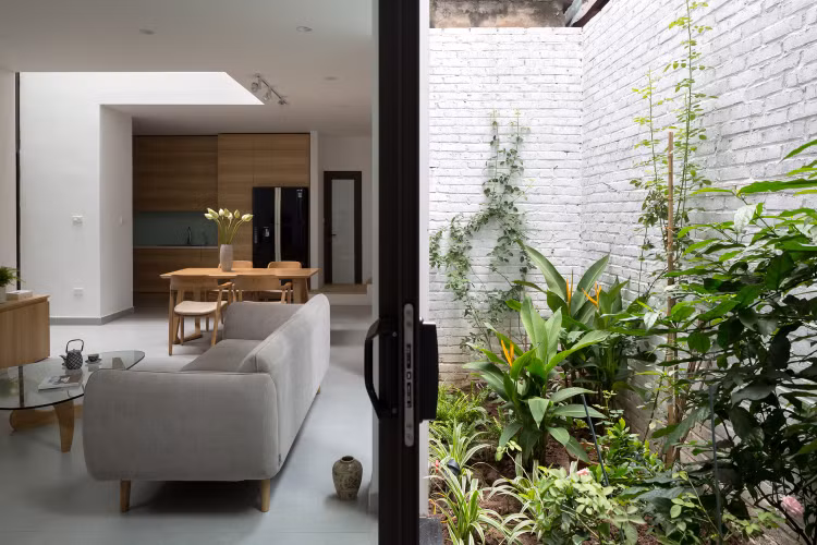 Sau trong ngo nho, nha Ha Noi van thoang sang la thuong-Hinh-2