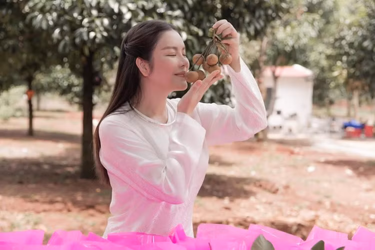 Toan canh biet phu 10.000m2 phong cach co xua cua Ly Nha Ky-Hinh-6