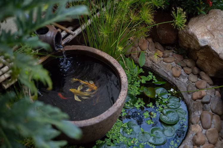 Nha 1 tang ngap hoa co dep nen tho giua Tay Nguyen-Hinh-3