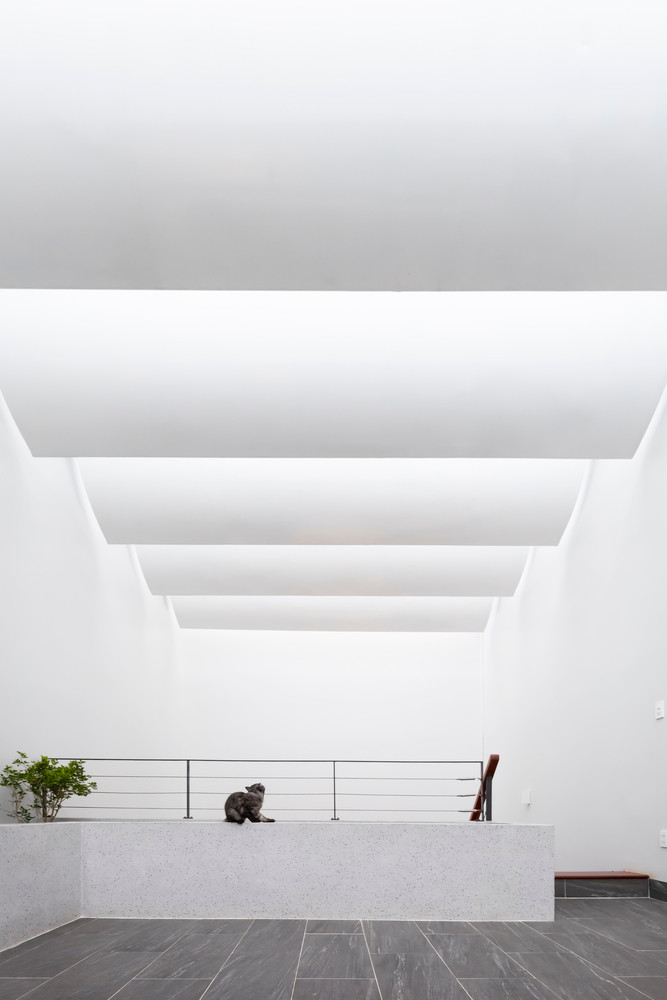 Bao My het loi ca tung “nha pho” giua cao nguyen Lam Dong-Hinh-6