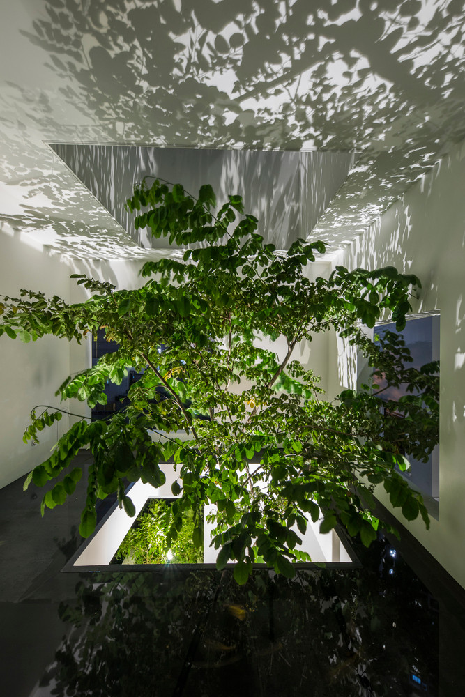 Gianh giai kien truc quoc te, nha Sai Gon co gi dac biet?-Hinh-11