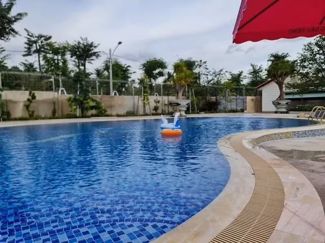 Can canh biet phu 15ha toan go hiem cua “dai gia chan dat”-Hinh-10