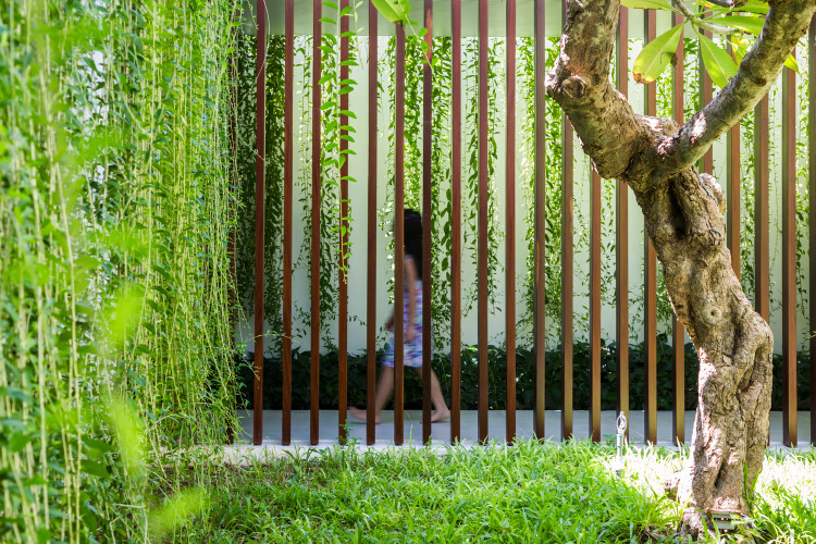 Ngoi nha “ngan keo” xanh muot mat o Vung Tau tren bao My-Hinh-8