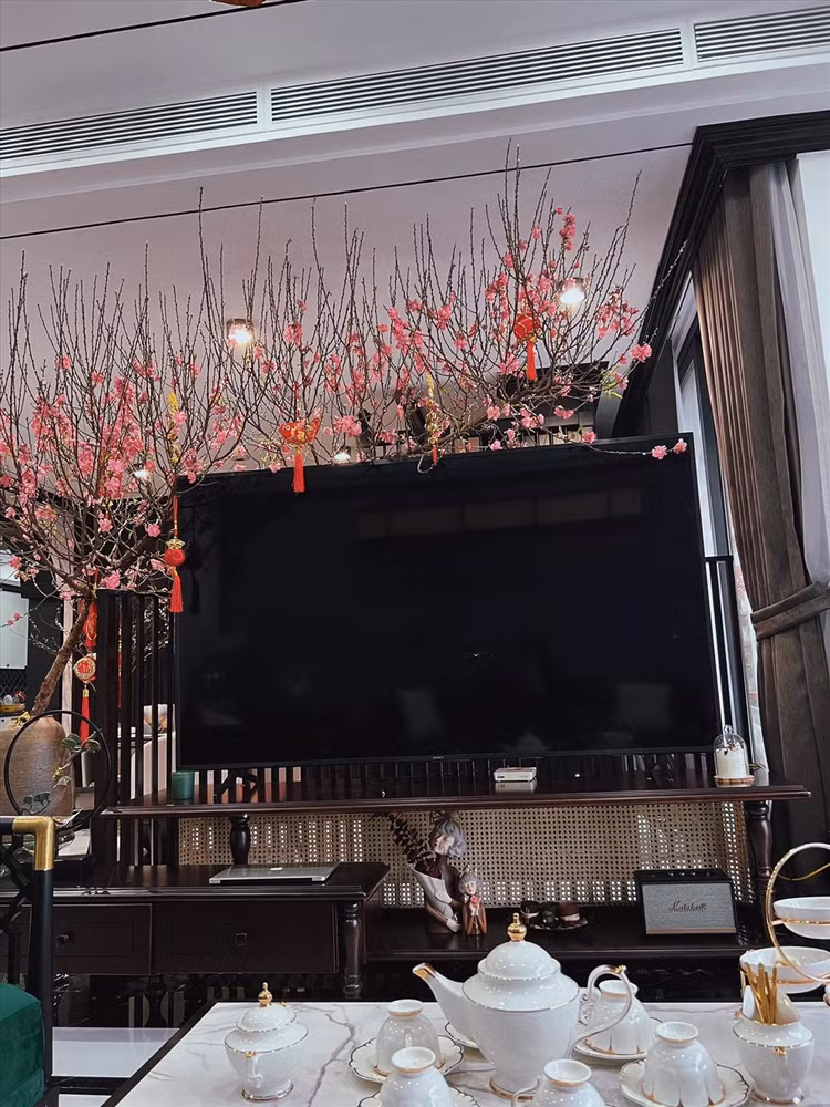 He lo hinh anh hiem hoi trong nha rieng cua Shark Binh-Hinh-6