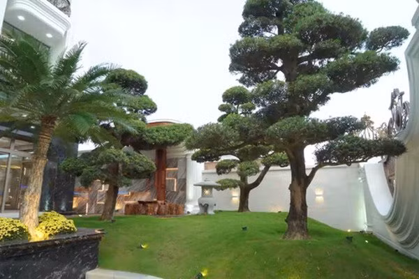 Ben trong sieu biet thu toan bang go quy cua dai gia Da Nang-Hinh-4