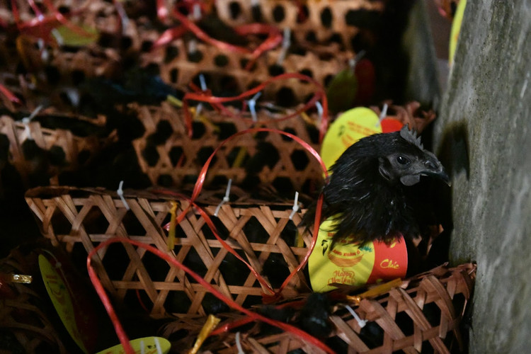 Di phien cho Am Duong “ma mi”, may man moi mua duoc thu nay-Hinh-9