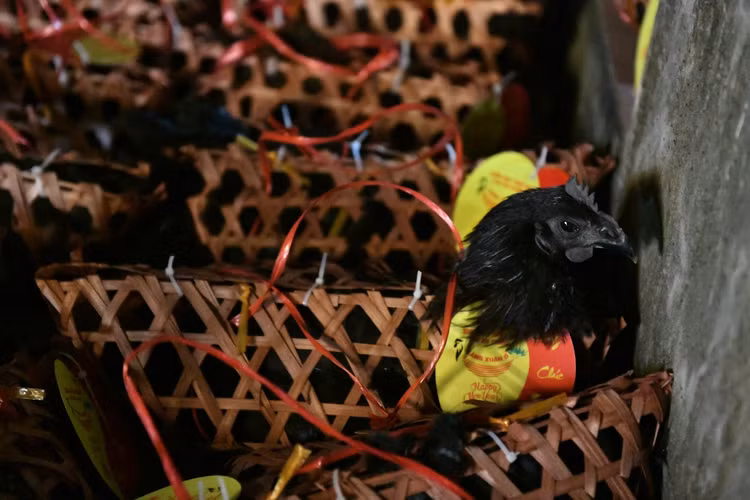 Di phien cho Am Duong “ma mi”, may man moi mua duoc thu nay-Hinh-9