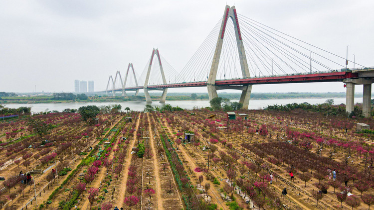 Lang dao Nhat Tan – Phu Thuong tu goc cao, moi la ra sao?-Hinh-4