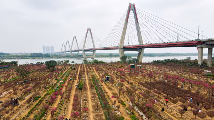 Lang dao Nhat Tan – Phu Thuong tu goc cao, moi la ra sao?-Hinh-4