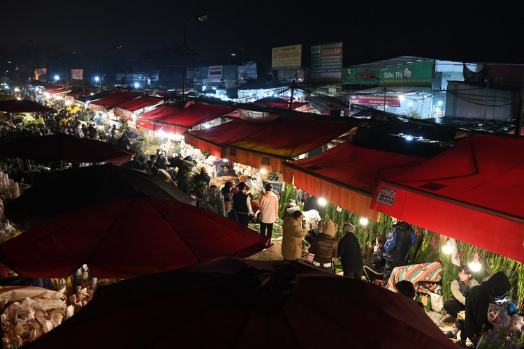 Dem cuoi nam, cho hoa Quang Ba tap nap nguoi ban ke mua-Hinh-7