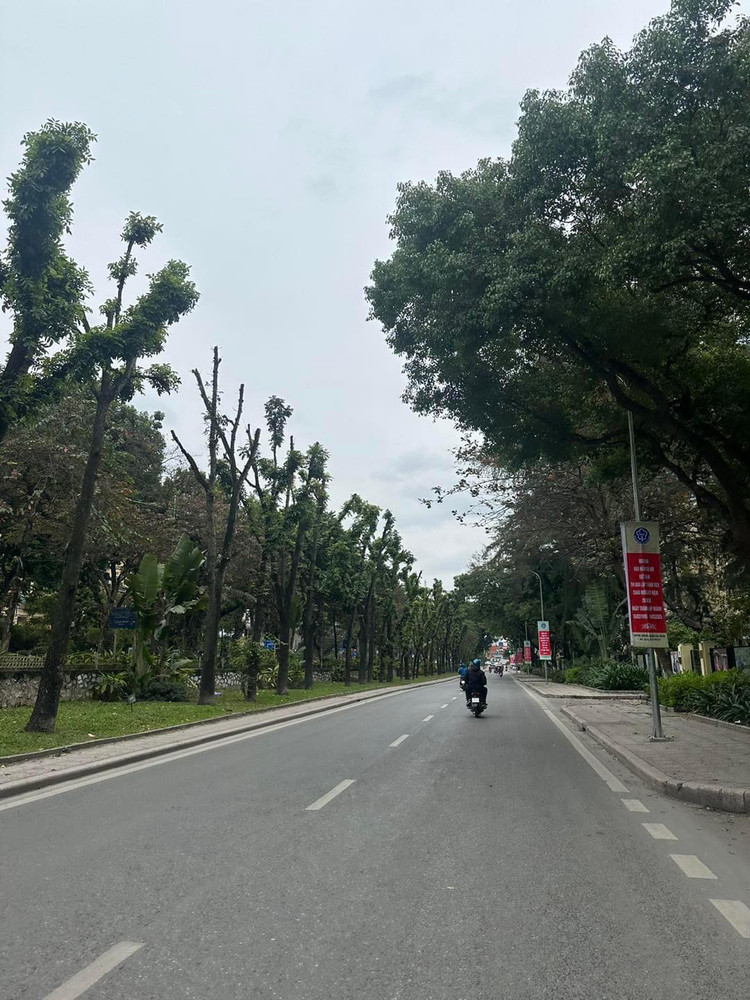 Sang 30 Tet, Ha Noi cham rai, binh yen den la-Hinh-7