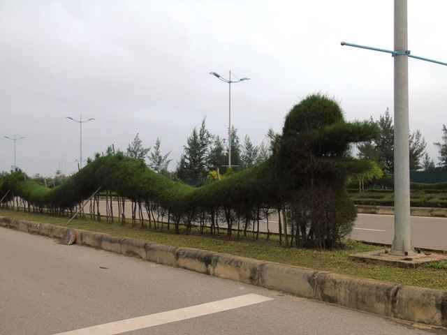 Linh vat rong tao hinh tu cay xanh o Quang Binh khien netizen tranh cai-Hinh-4