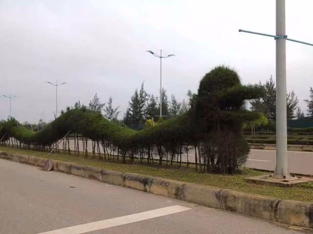 Linh vat rong tao hinh tu cay xanh o Quang Binh khien netizen tranh cai-Hinh-4