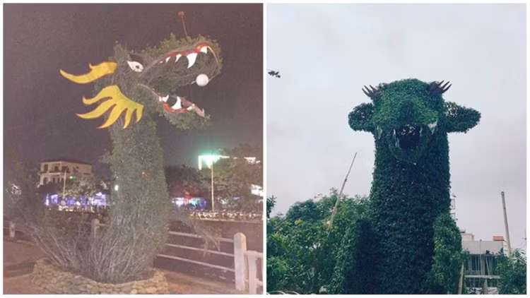 Linh vat rong tao hinh tu cay xanh o Quang Binh khien netizen tranh cai-Hinh-10