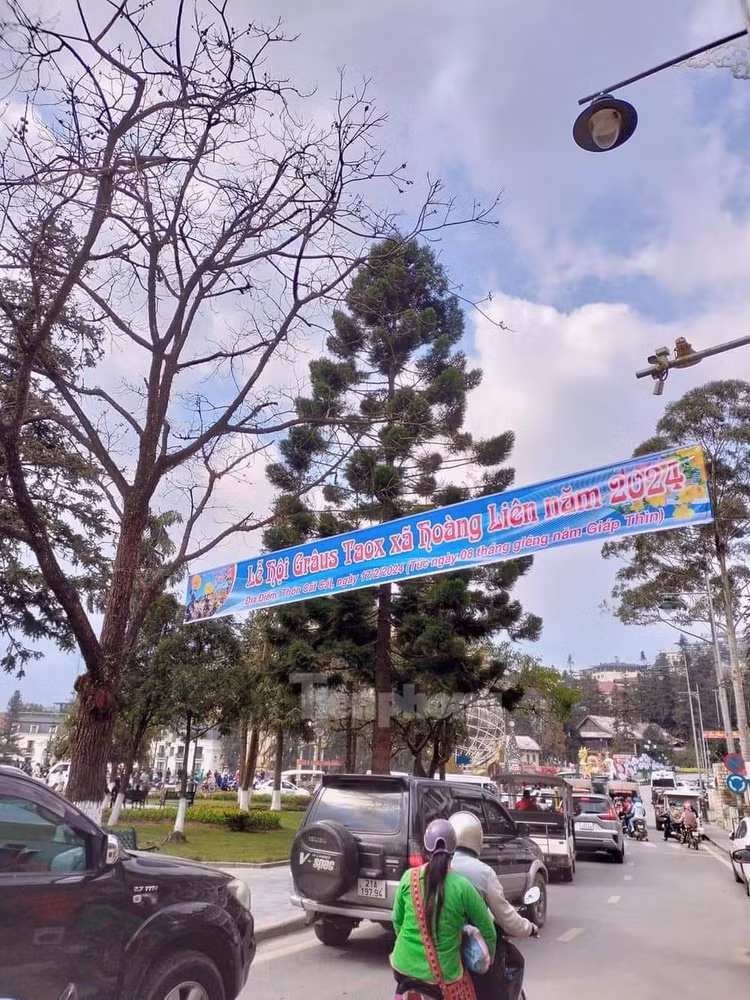 Diem du xuan “that thu” dau nam goi ten... Sa Pa, Trang An-Hinh-7