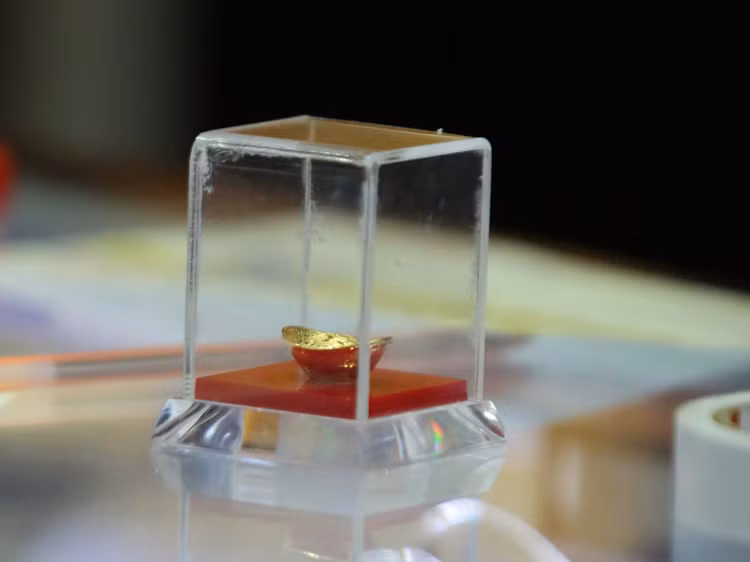 Co so kinh doan vang tap nap nguoi mua truoc ngay via Than Tai-Hinh-12