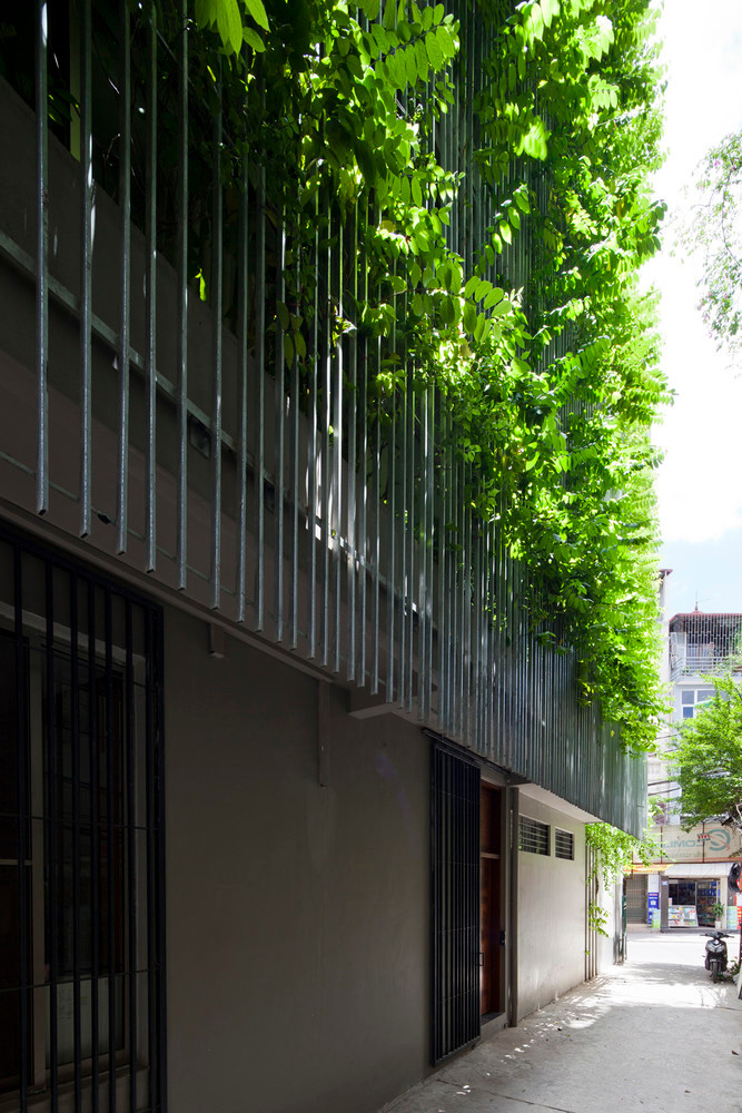 Bao My an tuong ngoi nha phu cay xanh mat ruoi giua Ha Noi-Hinh-8