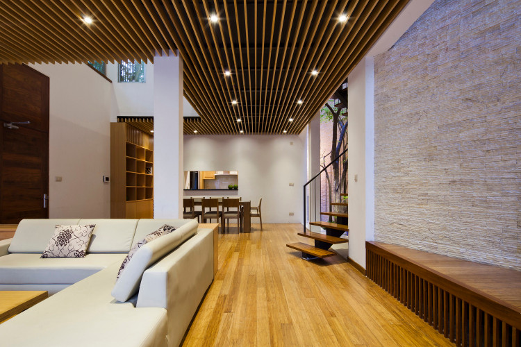 Bao My an tuong ngoi nha phu cay xanh mat ruoi giua Ha Noi-Hinh-6