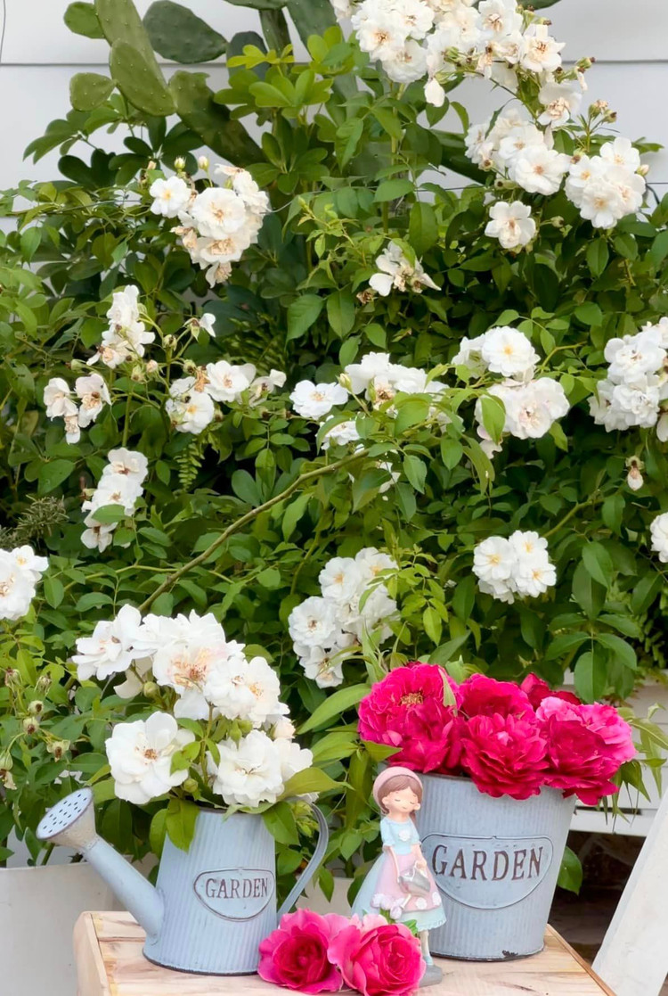 Me man vuon hong ruc ro trong biet thu cua MC Quyen Linh-Hinh-11