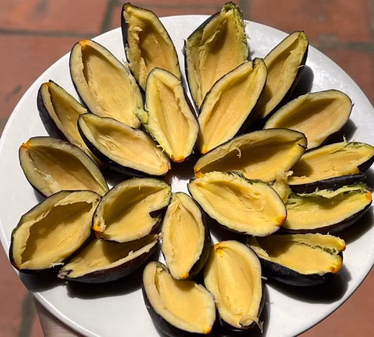 Bat ngo loai qua xua chong doi gio duoc vi nhu “vang den”-Hinh-5