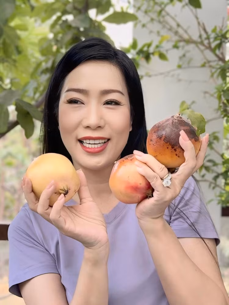 Vuon cay trai luc liu trong biet thu 200m2 cua NSND Trinh Kim Chi-Hinh-10