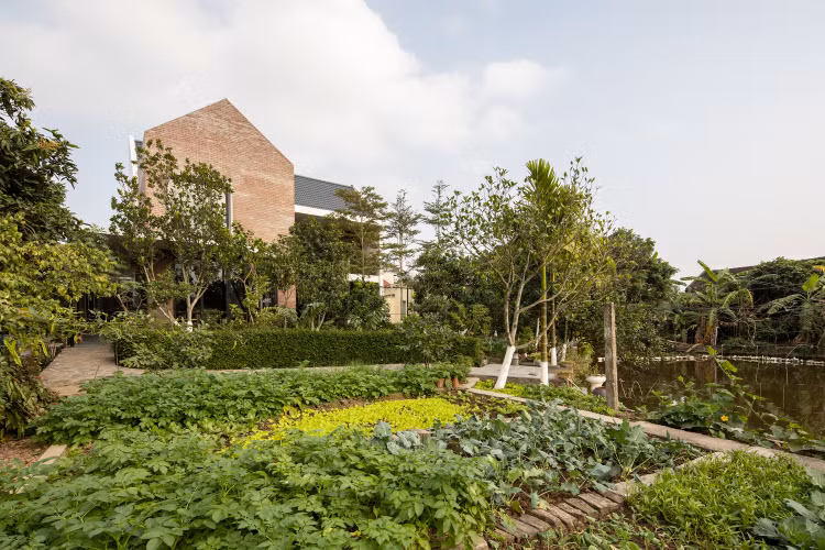 Bao My nuc no khen ngoi nha “biet don gio” o Thai Binh-Hinh-2