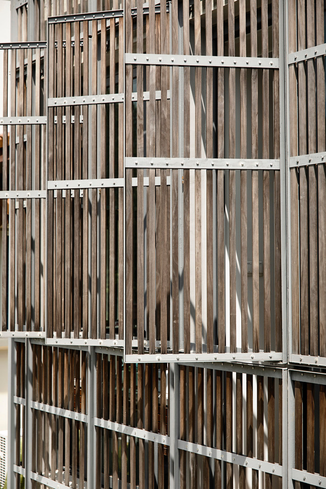 Ngo ngang ngoi nha mang ca khu rung nhiet doi vao ben trong-Hinh-2