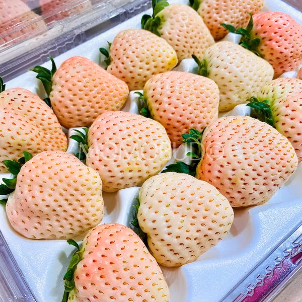 Dieu chua biet ve dau tay gia tien trieu, khach van dua nhau mua-Hinh-4